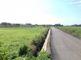售桃園市中壢區中壢內厝段197地號農地1,413萬