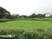 售桃園市大園區航空城C1區-倒厝子1242-6農地3,554萬